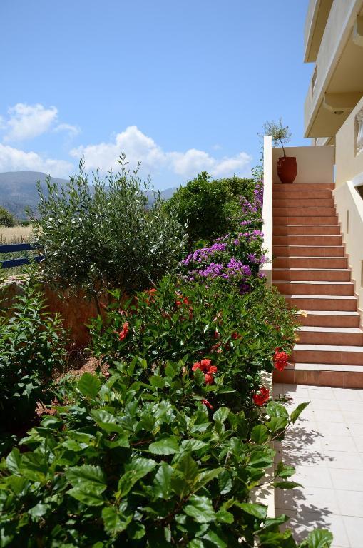 Cretan Family Apartments Μάλια Εξωτερικό φωτογραφία